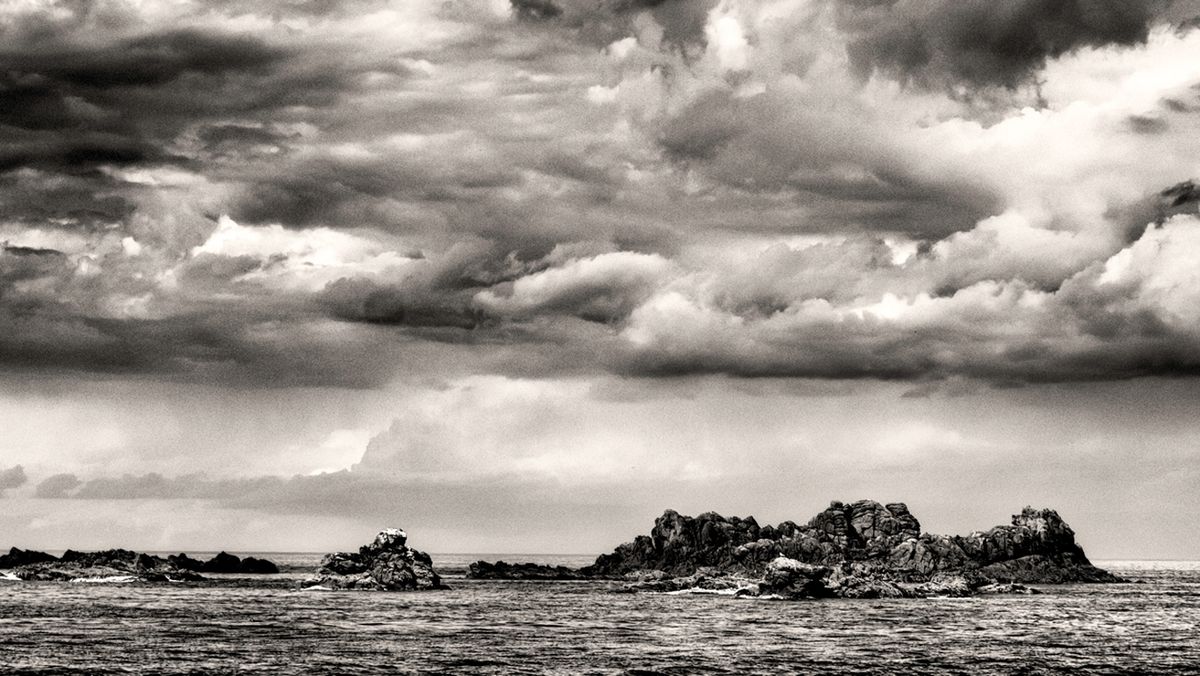 Regis Boileau wallpaper.jpg Regis Boileau wallpaper.jpg