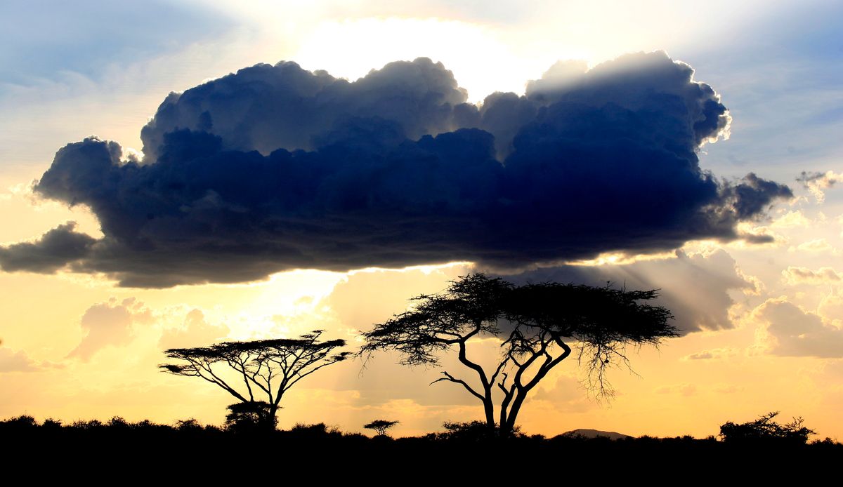 Couché de soleil sur Amboseli.