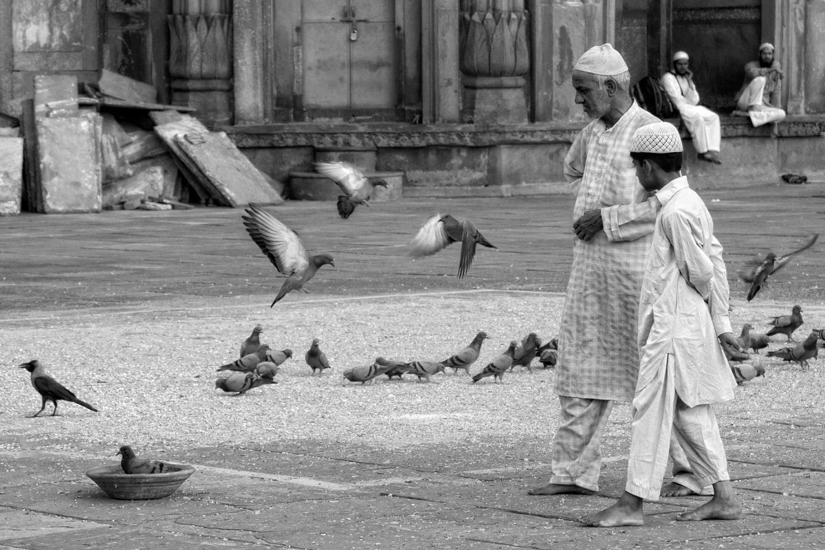 Walking with the birds in India