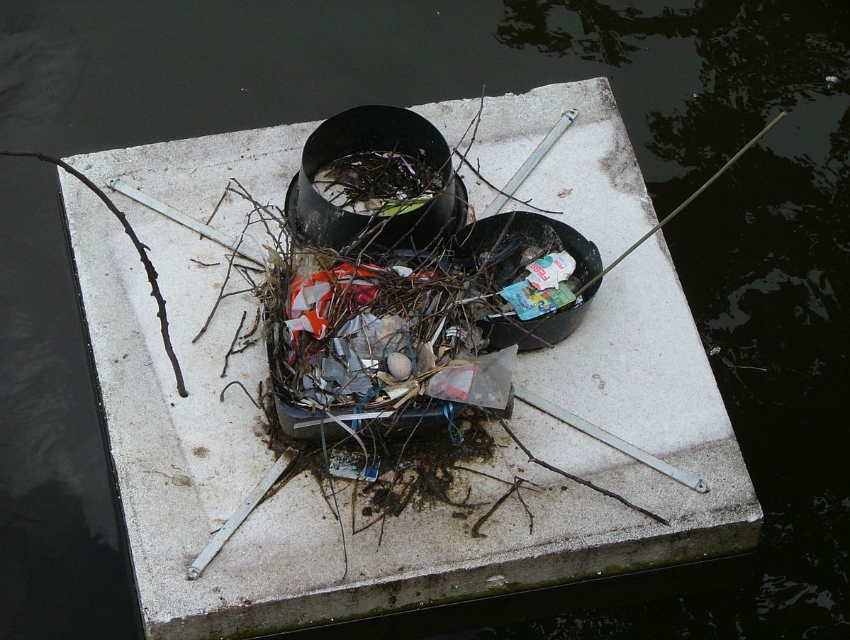 'nest' v waterhoentje