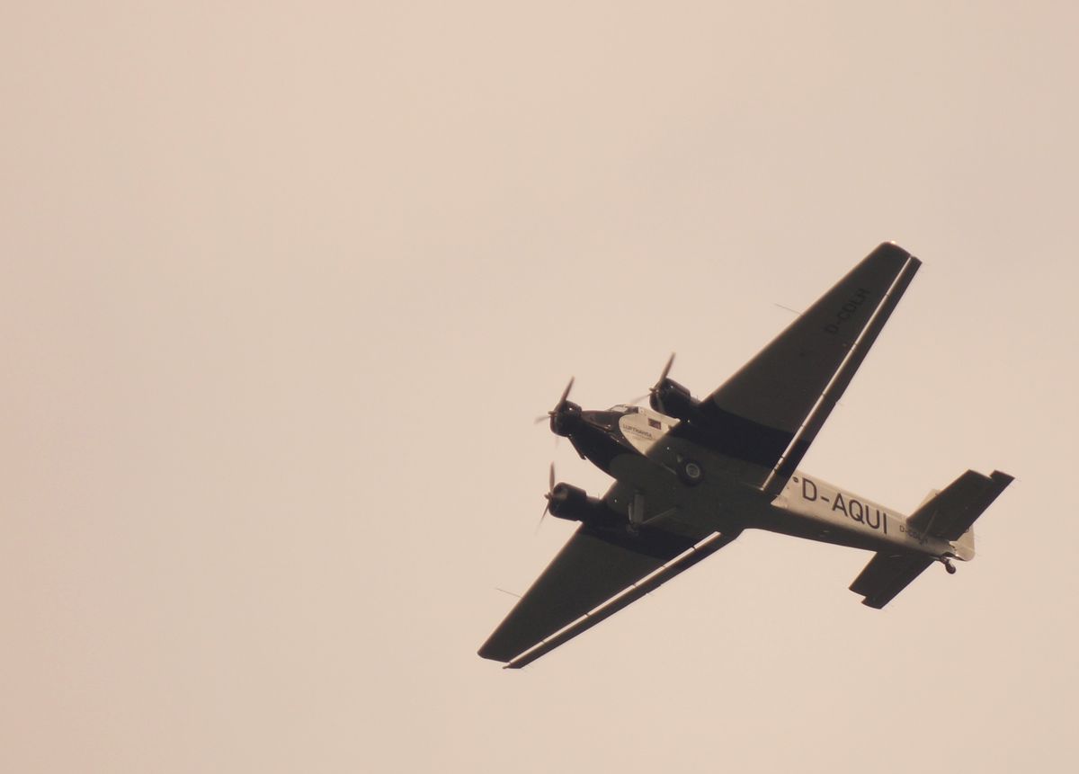 da sitzen meine Frau und ich in unserem Garten auf der Terrasse mit Kamera und Tablett bewaffnet da fliegt die gute wie in Zeitlupe über uns rüber