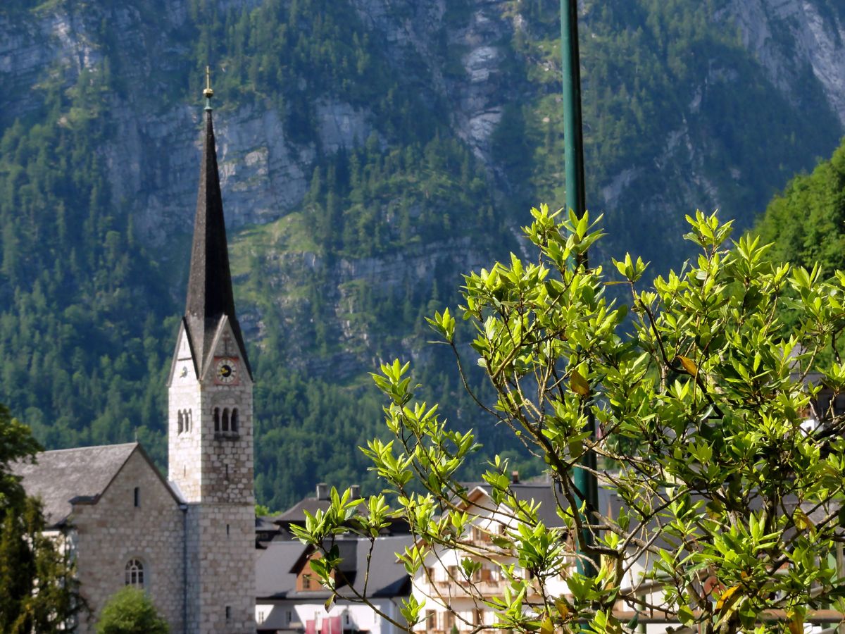 Hallstatt 8