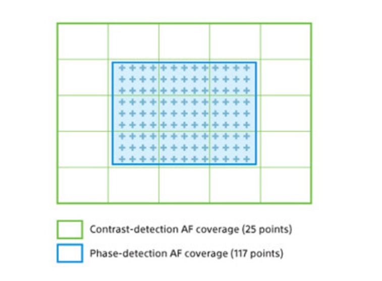 A7II AF sensor layout.jpg