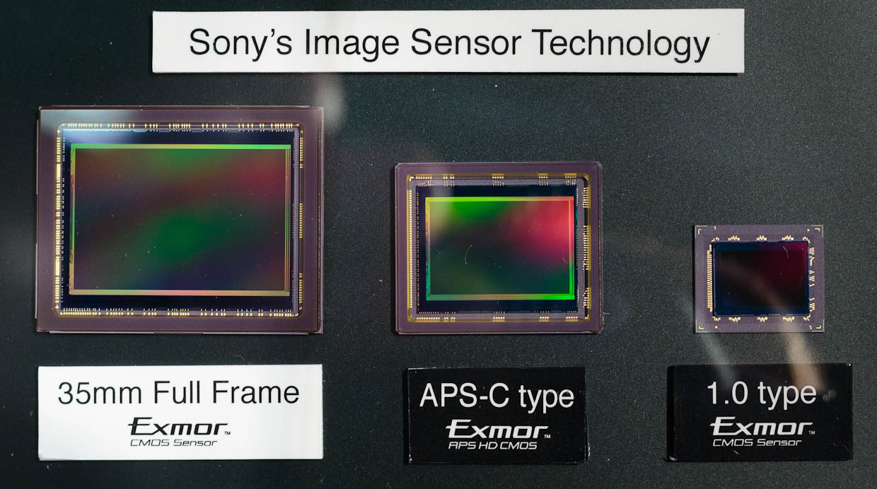 Sony sensor size.jpg