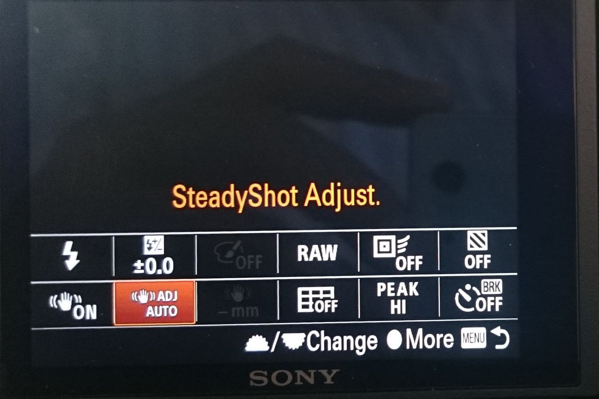 Steady shot auto.JPG