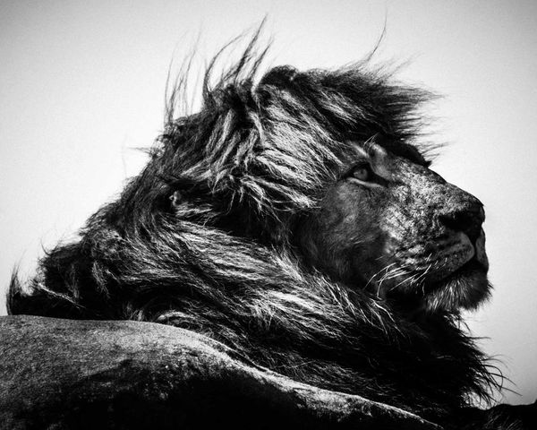 ©Laurent Baheux