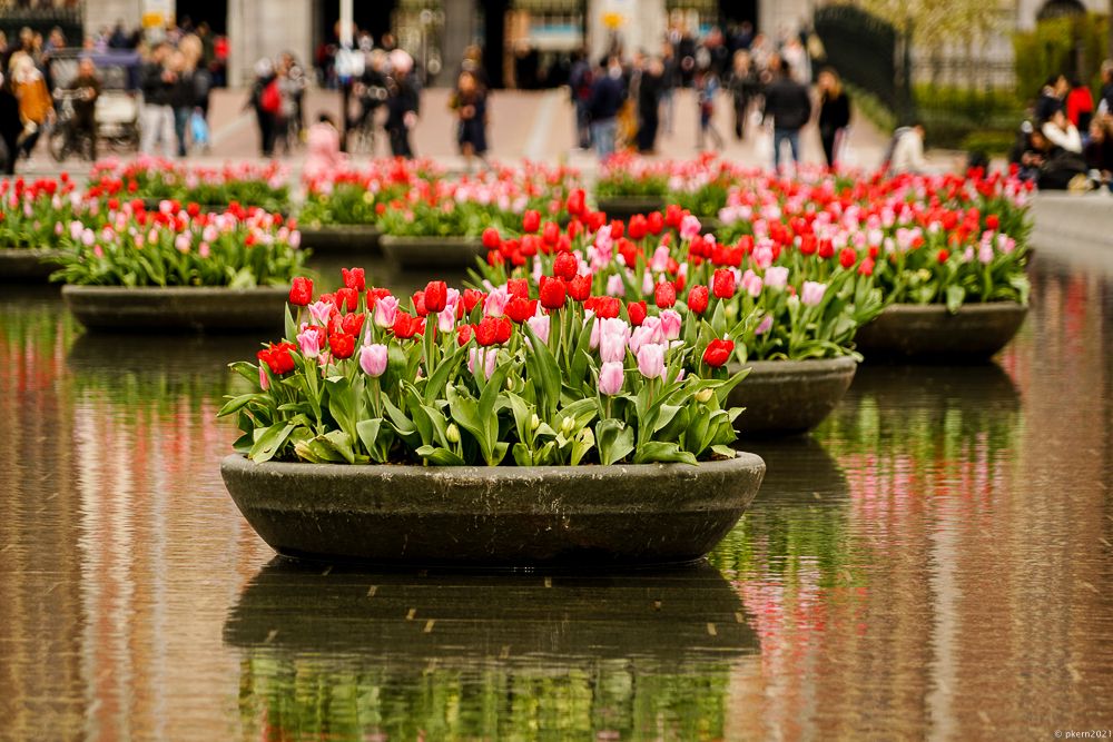 Amsterdam, Rijksmuseum