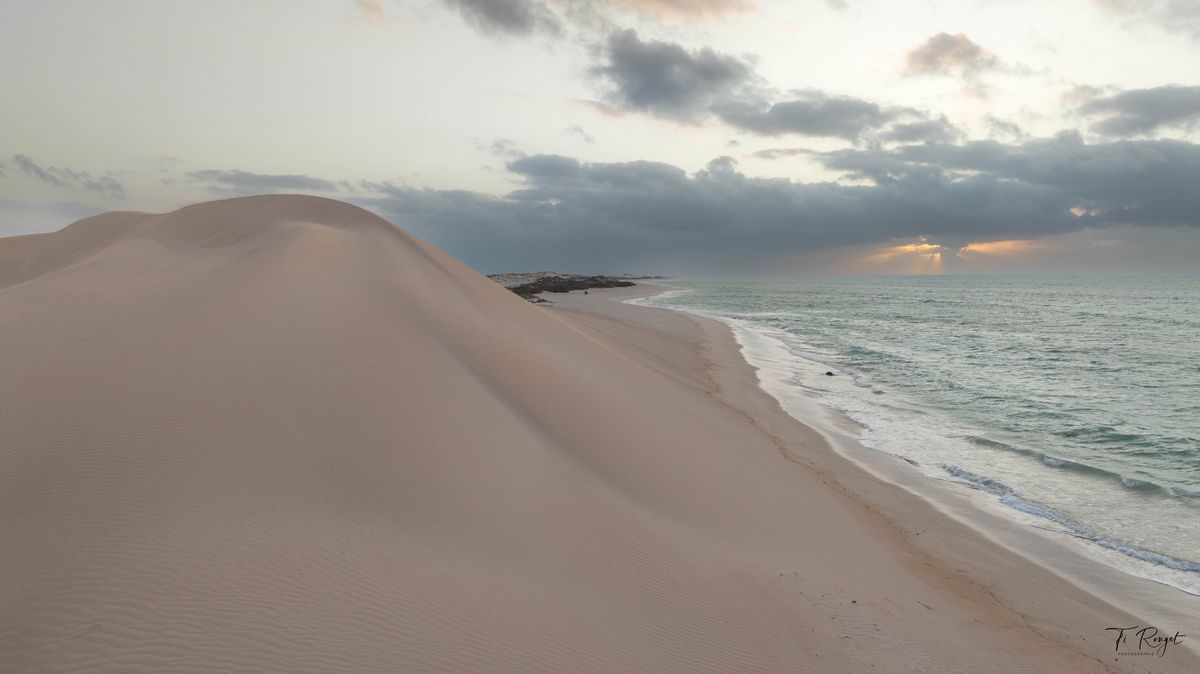 entre mer et dune