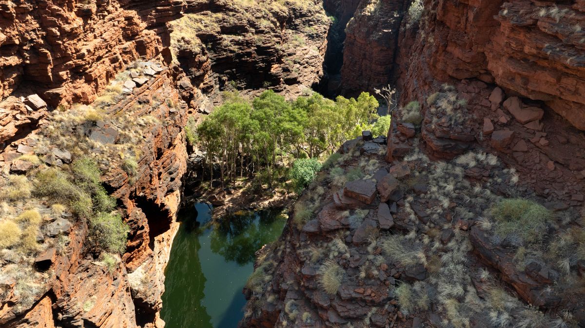 un oasis dans le canyon