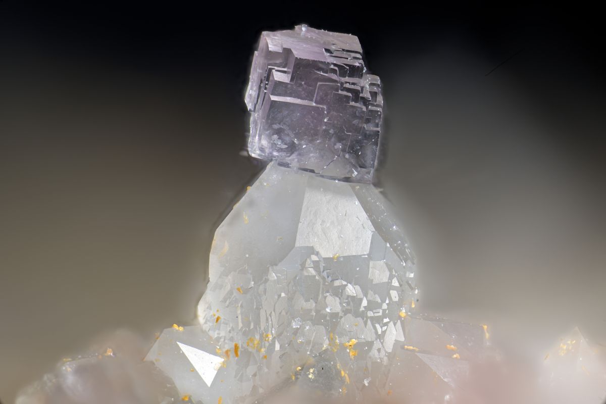 Fluorite sur Quartz_Les Rocs quarry_Buxières-les-Mines_France_Collection et photo Alain Legrand_Taille de l'image 5 millimètres